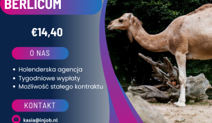 Pracownik agroturystyki - Berlicum