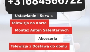 Pol