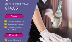 Personel sprzątający - Ijmuiden
