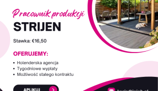 Pracownik obróbki drewna - Strijen