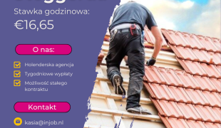 Pomocnik dekarza – Steggerda