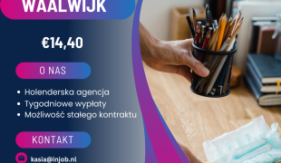 Pomoc domowa/sprzątanie - Waalwijk