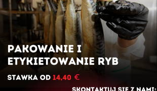 Pakowanie i Etykietowanie Ryb - Enkhuizen