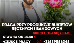 PRACA PRZY PRODUKCJI BUKIETÓW BANDOWYCH