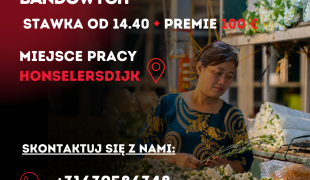 PRACA PRZY PRODUKCJI BUKIETÓW RĘCZNYCH I BANDOWYCH- 14.40 + Premie -Honselersdijk