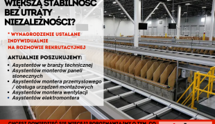 ZZP – gotowi na większą stabilność bez utraty niezależności?