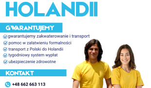 info_31