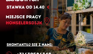 Bukiety Bandowe i Ręczne  | Honselersdijk | €14.40