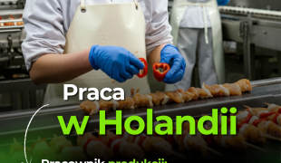 Praca w Alphen aan den Rijn | De Lier