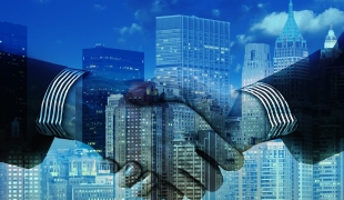 Poszukuje pracy jako Rekruter Zdalny. | Ede