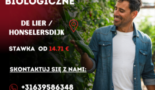 Uprawa szklarniowa z papryką - sadzenie i ochrona biologiczna | Honselersdijk | €14.71