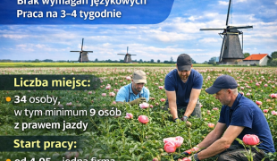 Ścinanie piwonii | Hensbroek | €14.71