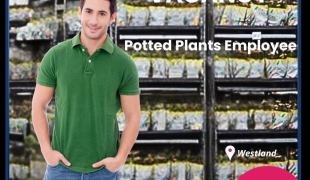 praca na gieldzie kwiatowej / Westland / zakwaterownie/ transport📢📢📢 | Maasdijk | €14.71