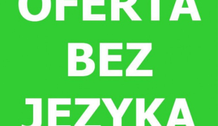 PRODUKCJA PUDEŁEK - bez języka  | Hardewijk