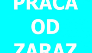 PRODUKCJA SERÓW - dla par | Barneveld