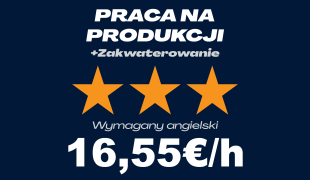 PRACA NA PRODUKCJI - PODSTAWOWY ANGIELSKI | Różne lokalizacje | €16.55