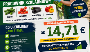 Praca w Holandii – Szklarnie | Haga | €14.71