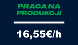 PRACA NA PRODUKCJI - PODSTAWOWY ANGIELSKI | Różne lokalizacje | €16.55