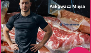 Praca przy miesie/ Zoetermeer/ zakwaterowanie📢📢📢 | Zoetermeer | €14.71