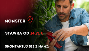 Praca na szklarni z papryką | Monster | €14.71