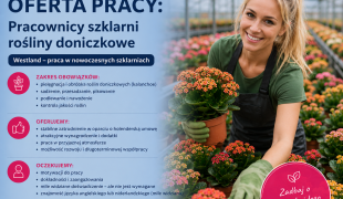 Pakowanie kwiatów doniczkowych | Honselersdijk | €14.99