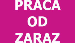 PRODUKCJA CIASTA DO PIZZY - od zaraz | Amstelveen