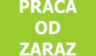 OPERATOR REACH TRUCK - od zaraz | Apeldoorn