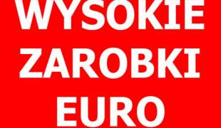 ROZŁADUNEK KONTENERÓW  - €17.24 b/h  + dodatki  | Emmeloord