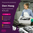 Pracownik produkcji - Den Haag