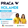 info_31
