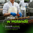 Praca w Alphen aan den Rijn | De Lier
