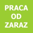 PRACOWNIK UTRZYMANIA TERENÓW ZIELONYCH -  od zaraz  | Marknesse
