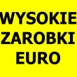 PRODUKCJA WYKŁADZIN- wysokie wynagrodzenie | Genemuiden