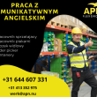 komunikatywny angielski  | Uden