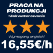 PRACA NA PRODUKCJI - PODSTAWOWY ANGIELSKI | Różne lokalizacje | €16.55