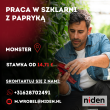 Praca na szklarni z papryką | Monster | €14.71