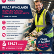 Praca przy recyklingu / zakwaterowanie / transport 📢📢📢 | Hoek van Holland | €14.71
