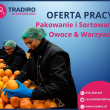 Pracownik produkcji- sortowanie i pakowanie warzyw i owoców | Ridderkerk  | €14.99