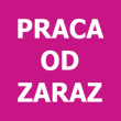 PRODUKCJA CIASTA DO PIZZY - od zaraz | Amstelveen