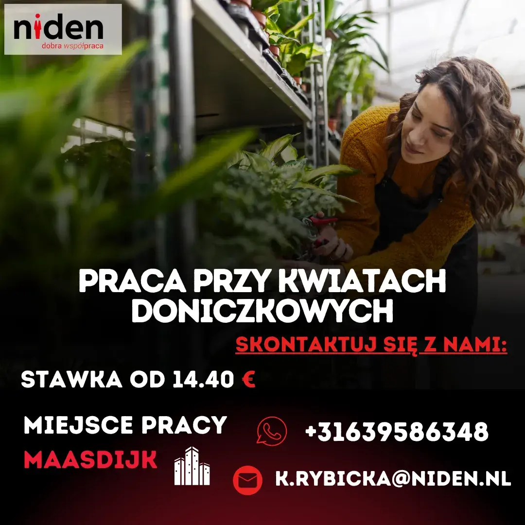 Praca przy kwiatach doniczkowych