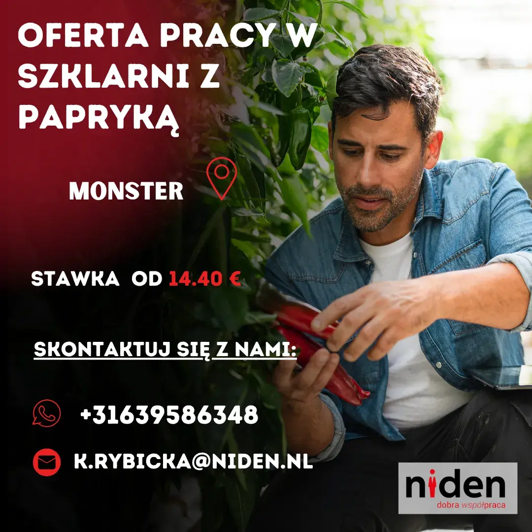 Pracownik Szklarni z papryką