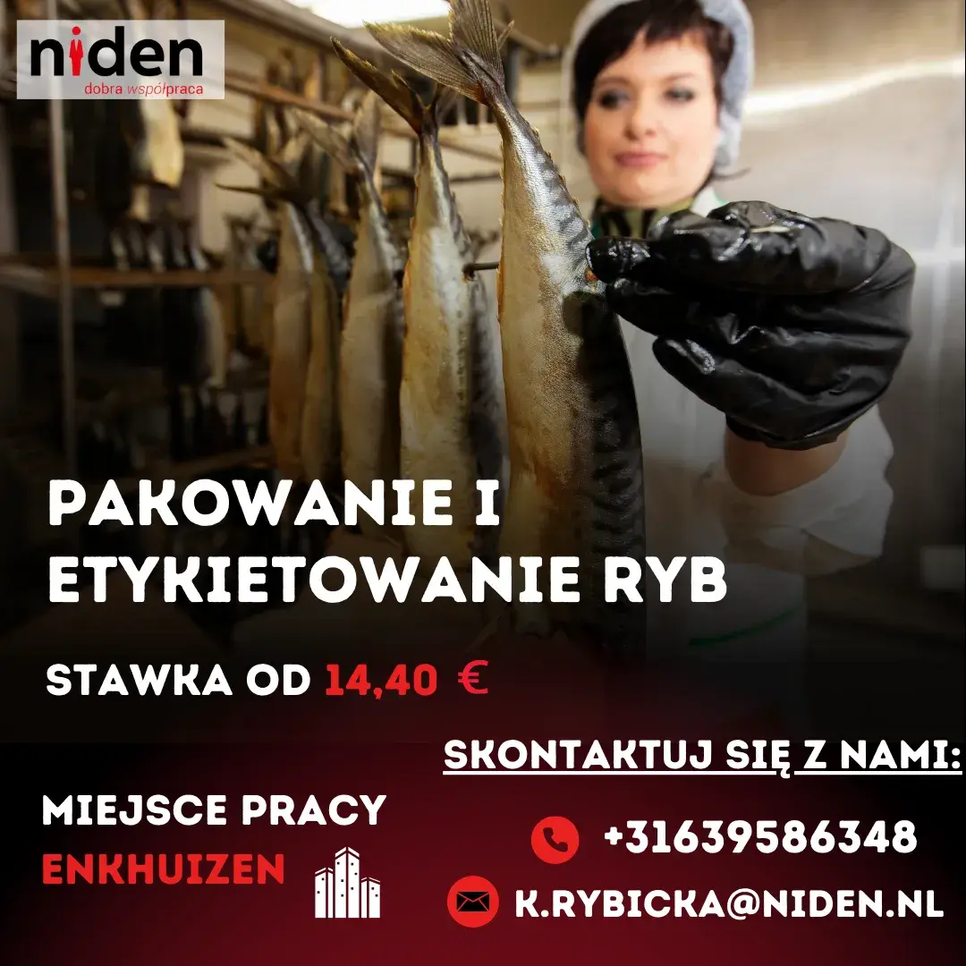 Pakowanie i Etykietowanie Ryb - Enkhuizen