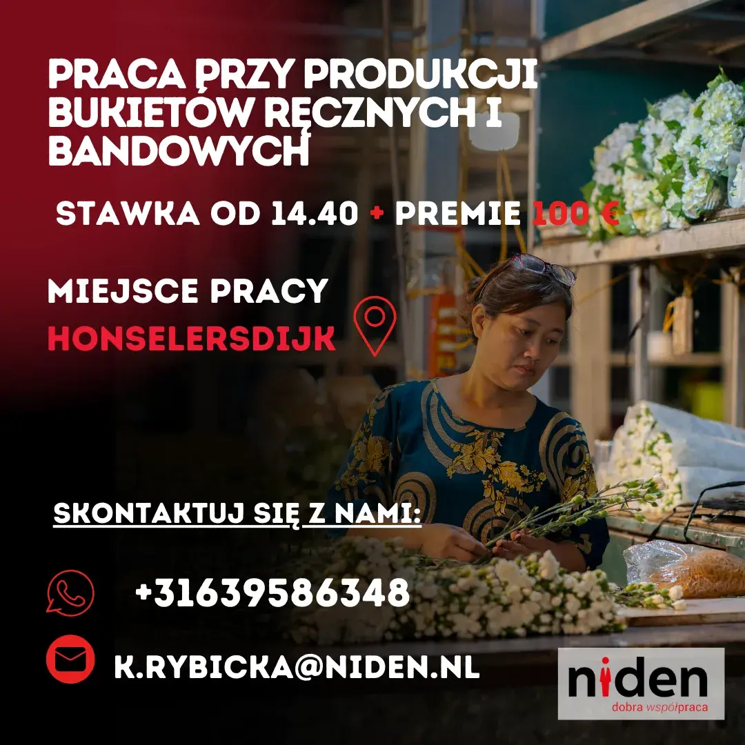 PRACA PRZY PRODUKCJI BUKIETÓW RĘCZNYCH I BANDOWYCH- 14.40 + Premie -Honselersdijk