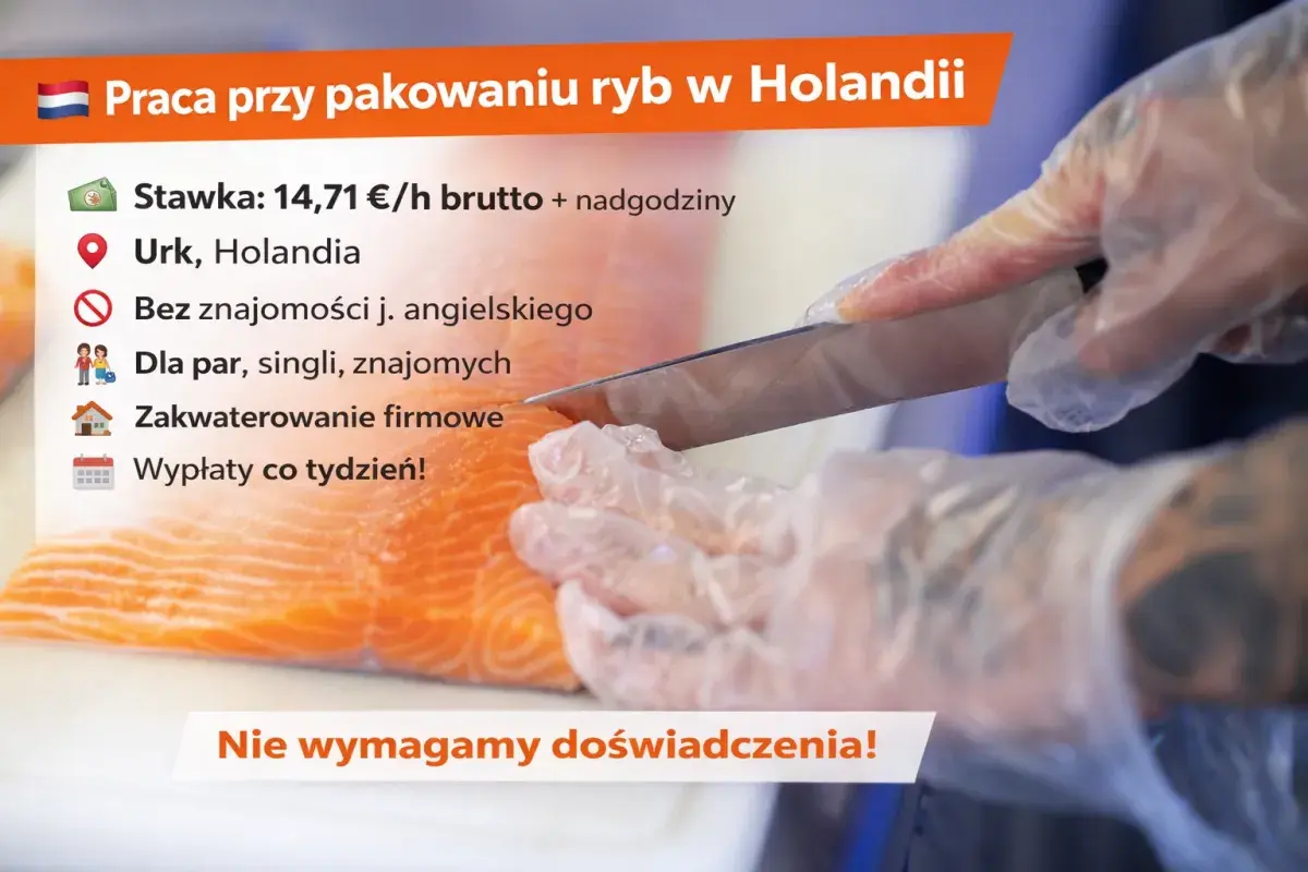 Pakowanie ryb | Urk | €14.71