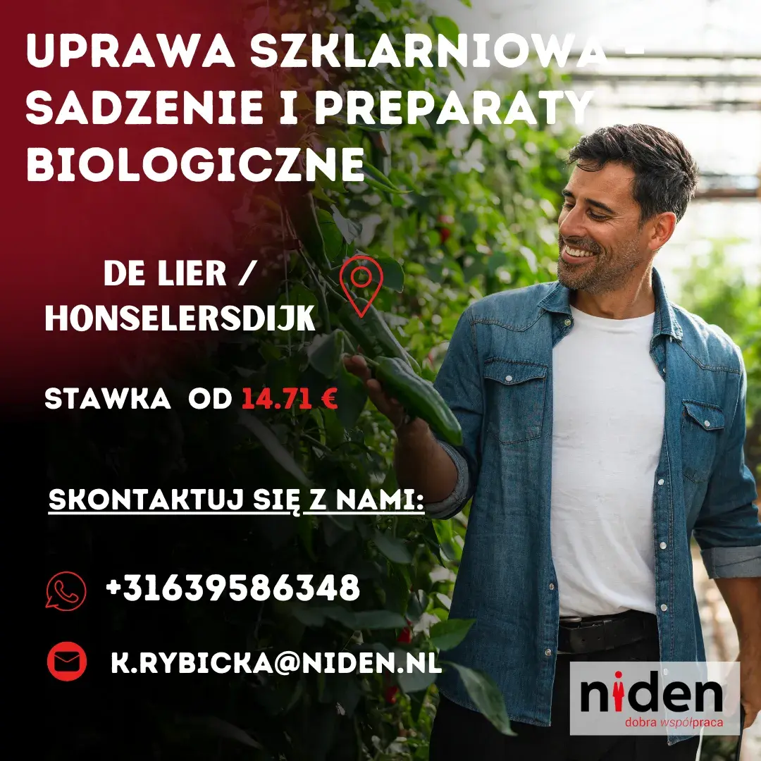 Uprawa szklarniowa z papryką - sadzenie i ochrona biologiczna | Honselersdijk | €14.71