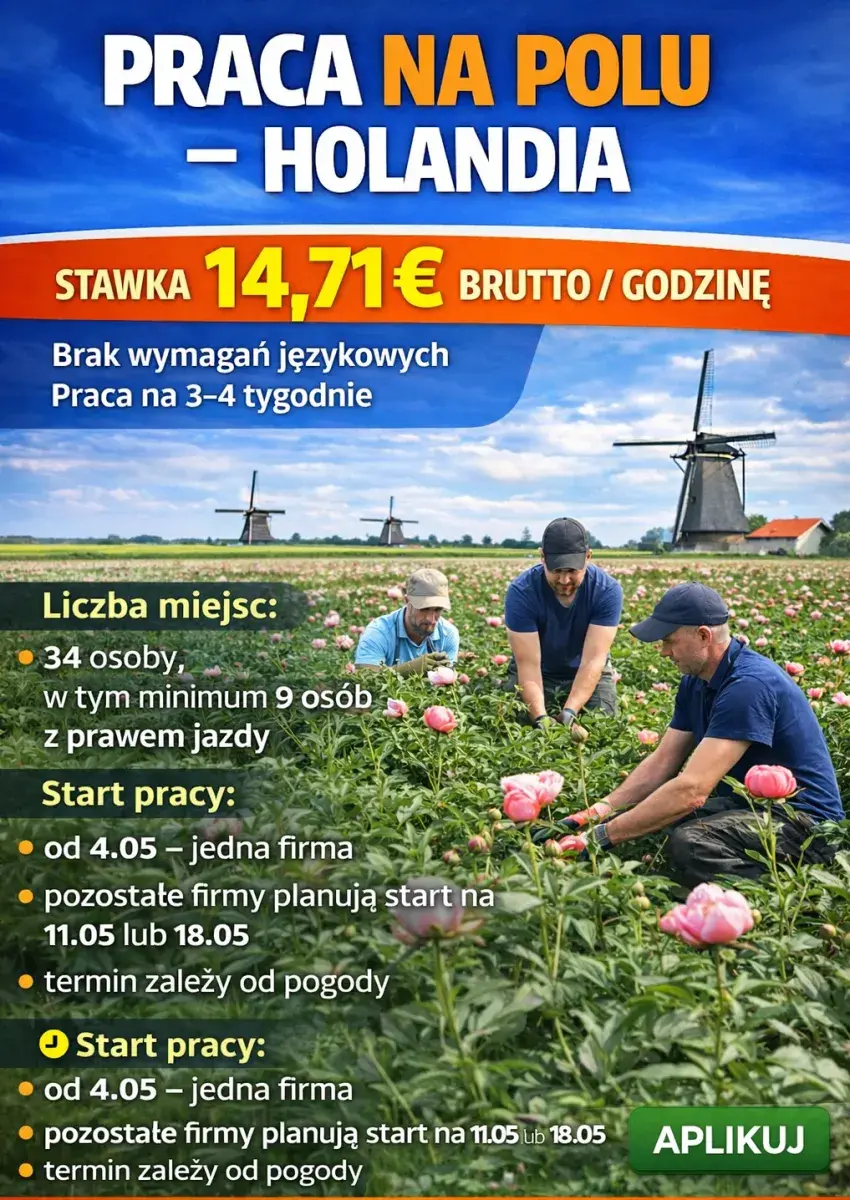 Ścinanie piwonii | Hensbroek | €14.71