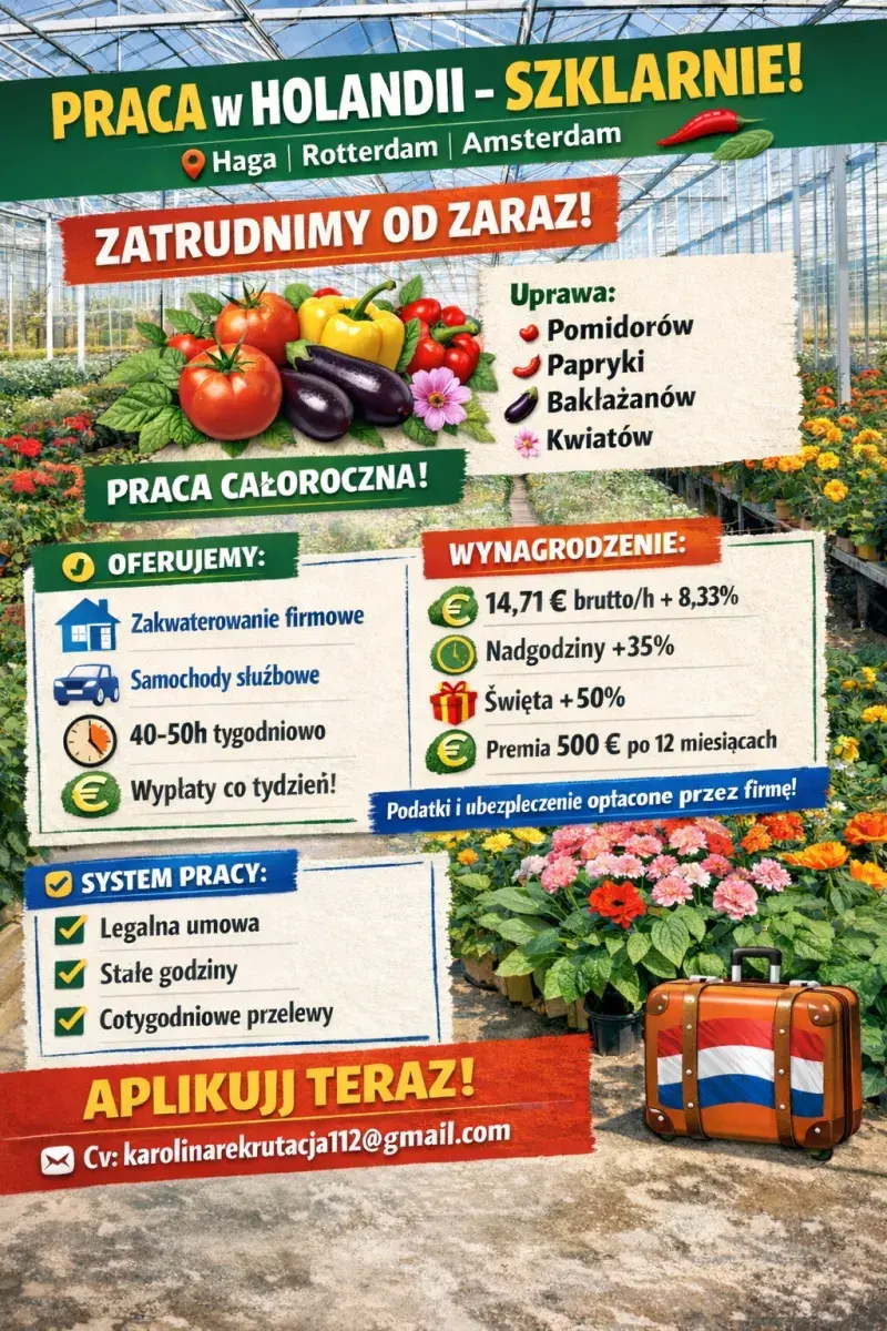 Praca z kwiatami i warzywami | Haga | €14.71