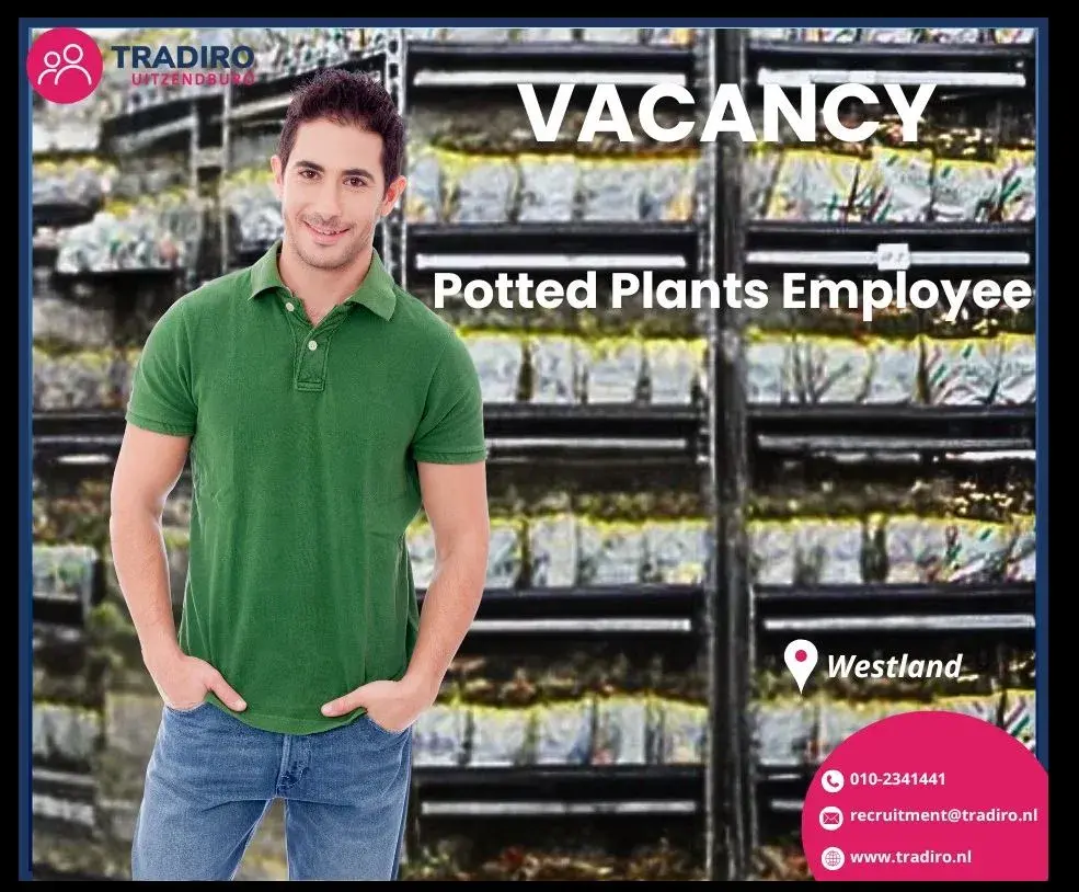 praca na gieldzie kwiatowej / Westland / zakwaterownie/ transport📢📢📢 | Maasdijk | €14.71