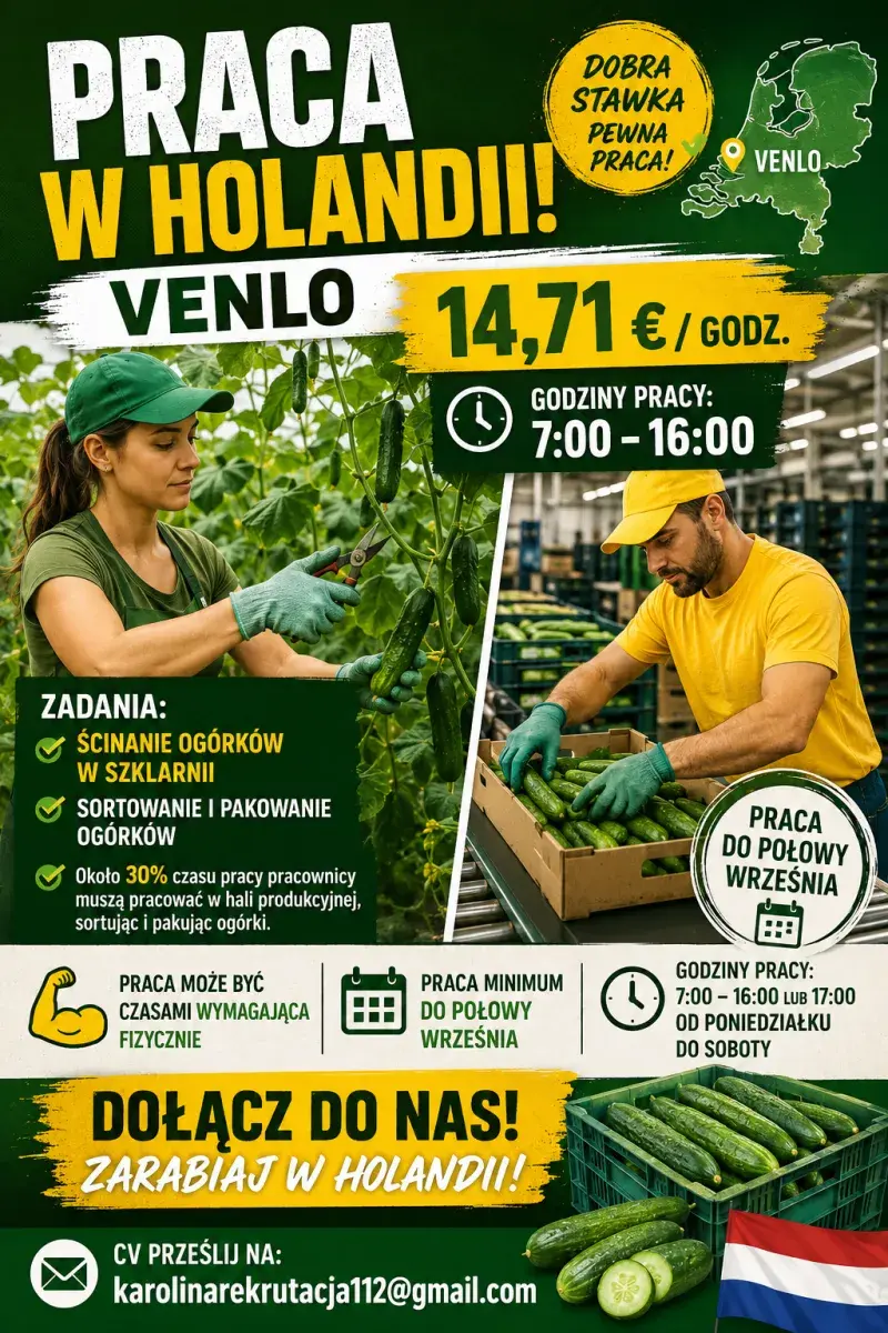 Ścinanie ogórków | Venlo | €14.71