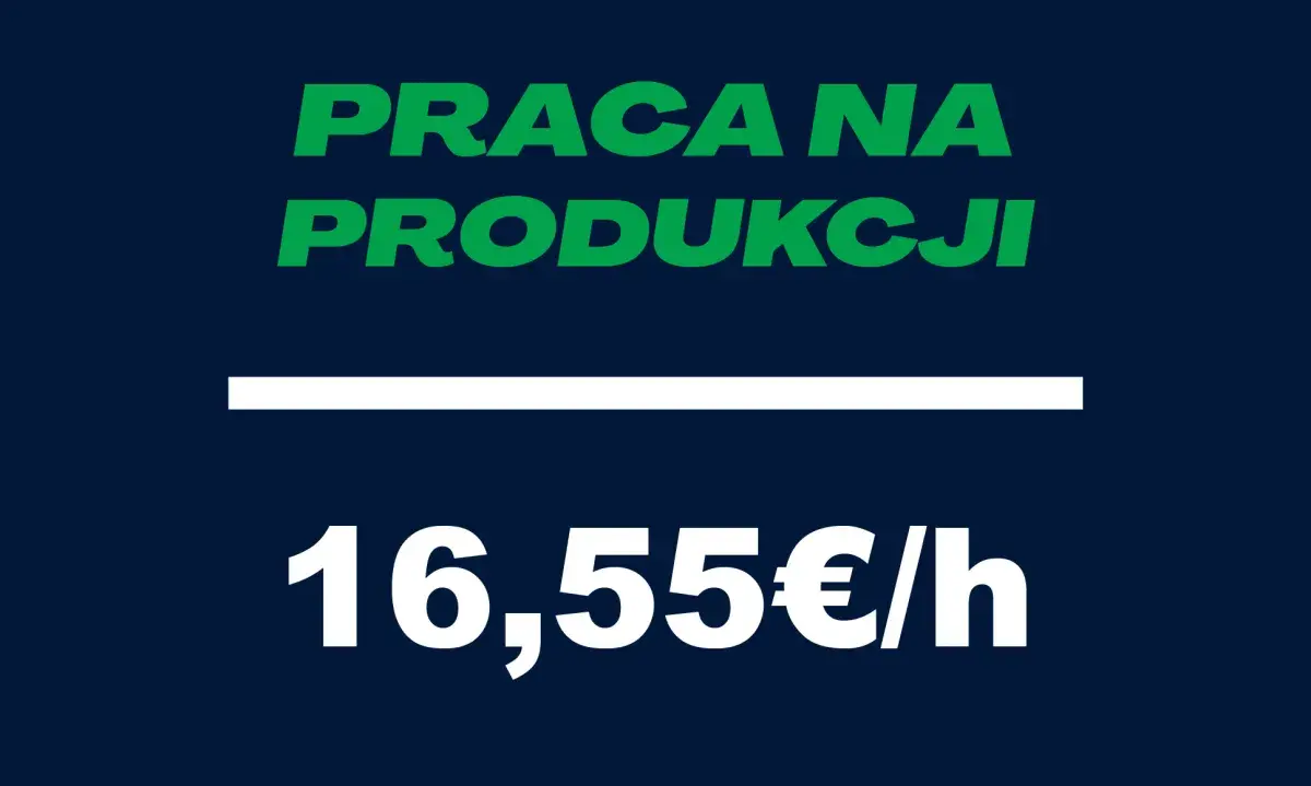PRACA NA PRODUKCJI - PODSTAWOWY ANGIELSKI | Różne lokalizacje | €16.55